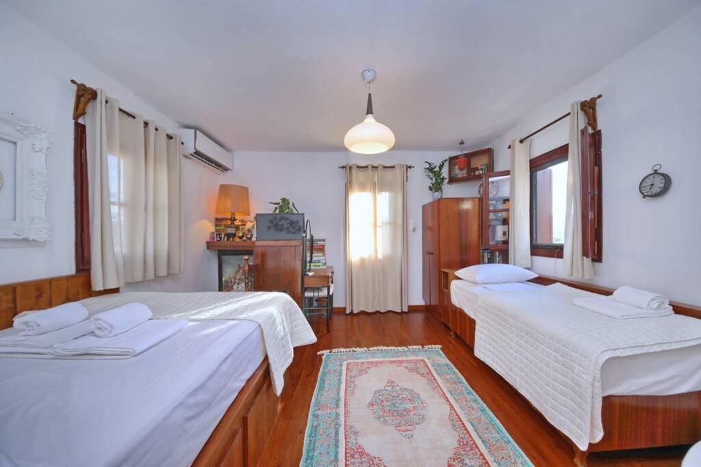 Villa Παναής & Μαρία / Panais & Maria Skopelos Exterior foto